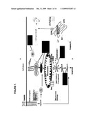 Methods for Obtaining High Viable Cell Density in Mammalian Cell Culture diagram and image