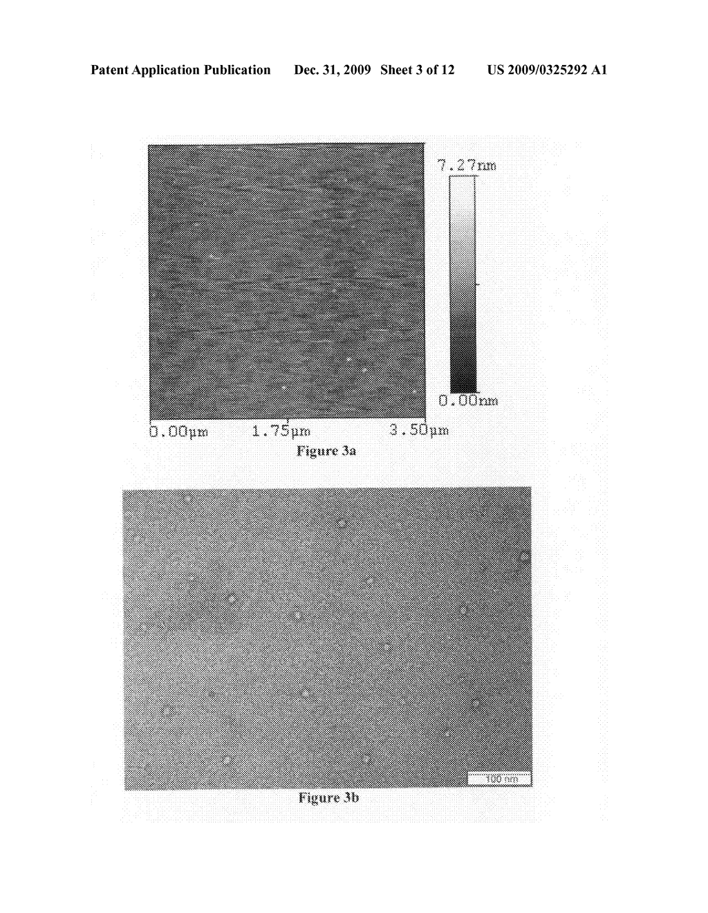 Functional polyglycolide nanoparticles derived from unimolecular micelles - diagram, schematic, and image 04