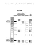 MOBILE COMMUNICATION SYSTEM, BASE STATION APPARATUS, AND MOBILE STATION APPARATUS diagram and image