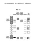 MOBILE COMMUNICATION SYSTEM, BASE STATION APPARATUS, AND MOBILE STATION APPARATUS diagram and image