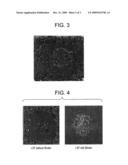 PYROCATALYTIC COATINGS FOR HEATING DEVICES diagram and image