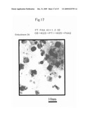 METHOD FOR PRODUCING PLATINUM NANOPARTICLES diagram and image