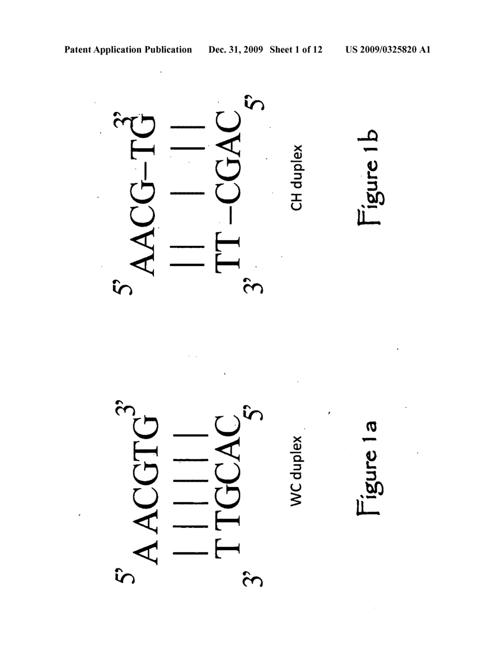 Hardware acceleration for thermodynamically constrained DNA code generation - diagram, schematic, and image 02