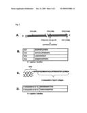 Method for Detecting Autoantibodies Formed in Rheumatoid Arthritis diagram and image