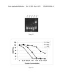 METHODS AND COMPOSITIONS FOR THE SPECIFIC INHIBITION OF GENE EXPRESSION BY DOUBLE-STRANDED RNA diagram and image