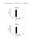 METHODS AND COMPOSITIONS FOR THE SPECIFIC INHIBITION OF GENE EXPRESSION BY DOUBLE-STRANDED RNA diagram and image