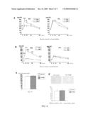 Method for Enhancing Pancreatic Beta Cell Proliferation, Increasing Serum Insulin Concentration, Decreasing Blood Glucose Concentration And Treating And/Or Preventing Diabetes diagram and image