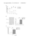 Method for Enhancing Pancreatic Beta Cell Proliferation, Increasing Serum Insulin Concentration, Decreasing Blood Glucose Concentration And Treating And/Or Preventing Diabetes diagram and image