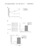 Method for Enhancing Pancreatic Beta Cell Proliferation, Increasing Serum Insulin Concentration, Decreasing Blood Glucose Concentration And Treating And/Or Preventing Diabetes diagram and image