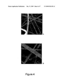 FIBERS AND METHODS RELATING THERETO diagram and image