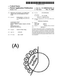 Proteins Containing a Fluorinated Amino Acid, and Methods of Using Same diagram and image