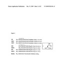 Proteins Containing a Fluorinated Amino Acid, and Methods of Using Same diagram and image