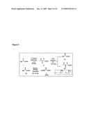 Proteins Containing a Fluorinated Amino Acid, and Methods of Using Same diagram and image