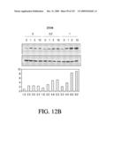 ANTIGEN BINDING PROTEINS TO PROPROTEIN CONVERTASE SUBTILISIN KEXIN TYPE 9 (PCSK9) diagram and image