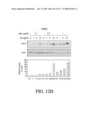 ANTIGEN BINDING PROTEINS TO PROPROTEIN CONVERTASE SUBTILISIN KEXIN TYPE 9 (PCSK9) diagram and image