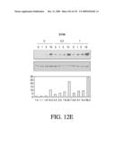 ANTIGEN BINDING PROTEINS TO PROPROTEIN CONVERTASE SUBTILISIN KEXIN TYPE 9 (PCSK9) diagram and image