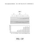 ANTIGEN BINDING PROTEINS TO PROPROTEIN CONVERTASE SUBTILISIN KEXIN TYPE 9 (PCSK9) diagram and image