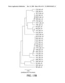 ANTIGEN BINDING PROTEINS TO PROPROTEIN CONVERTASE SUBTILISIN KEXIN TYPE 9 (PCSK9) diagram and image