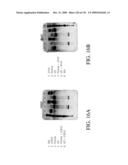 ANTIGEN BINDING PROTEINS TO PROPROTEIN CONVERTASE SUBTILISIN KEXIN TYPE 9 (PCSK9) diagram and image