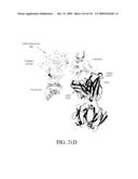 ANTIGEN BINDING PROTEINS TO PROPROTEIN CONVERTASE SUBTILISIN KEXIN TYPE 9 (PCSK9) diagram and image