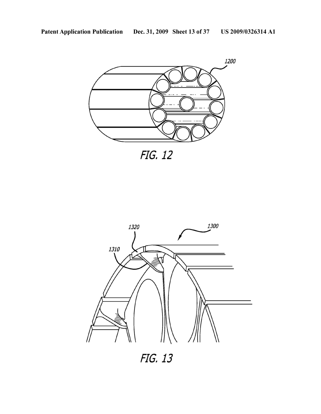 BRACHYTHERAPY APPARATUS FOR ASYMMETRICAL BODY CAVITIES - diagram, schematic, and image 14