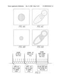 Magnetic resonance imager, method and program which continuously applies steady-state free precession to k-space diagram and image