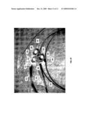 Device With Integrated Multi-Fiber Optical Probe and Methods of Use diagram and image