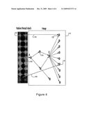 METHOD FOR PERFORMING MEMORY LEAK ANALYSIS INSIDE A VIRTUAL MACHINE diagram and image