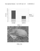 MITOCHONDRIAL-NUCLEAR EXCHANGED CELLS, TISSUES, ORGANS AND ANIMALS diagram and image