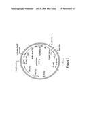 DNA Constructs and Methods to Enhance the Production of Commercially Viable Transgenic Plants diagram and image