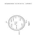 DNA Constructs and Methods to Enhance the Production of Commercially Viable Transgenic Plants diagram and image