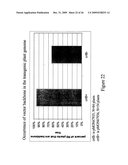 DNA Constructs and Methods to Enhance the Production of Commercially Viable Transgenic Plants diagram and image