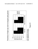 DNA Constructs and Methods to Enhance the Production of Commercially Viable Transgenic Plants diagram and image