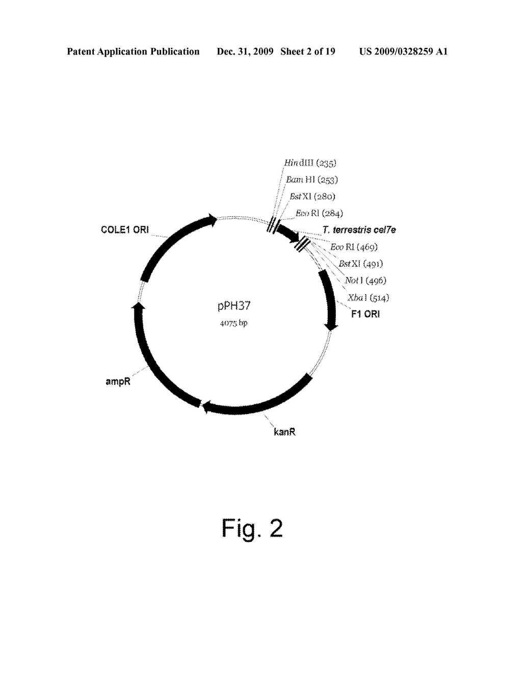 Polypeptides having endoglucanase activity and polynucleotides encoding same - diagram, schematic, and image 03