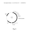 Polypeptides having endoglucanase activity and polynucleotides encoding same diagram and image