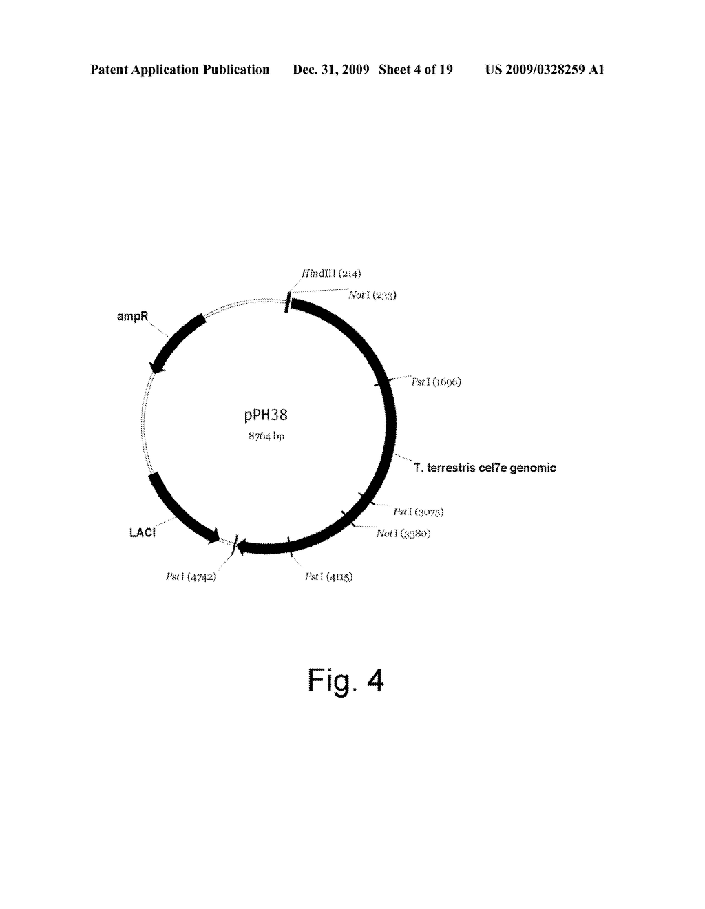 Polypeptides having endoglucanase activity and polynucleotides encoding same - diagram, schematic, and image 05