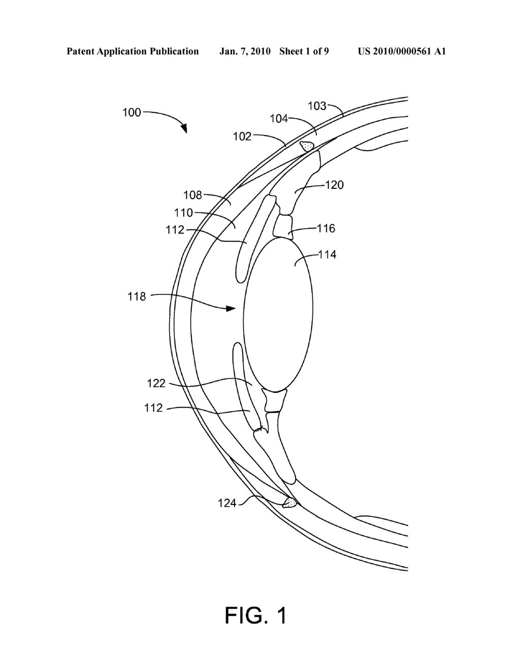 EYE COLORING SYSTEMS - diagram, schematic, and image 02