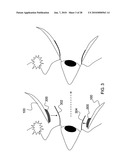 Eyelash extensions and method for applying eyelash extensions diagram and image