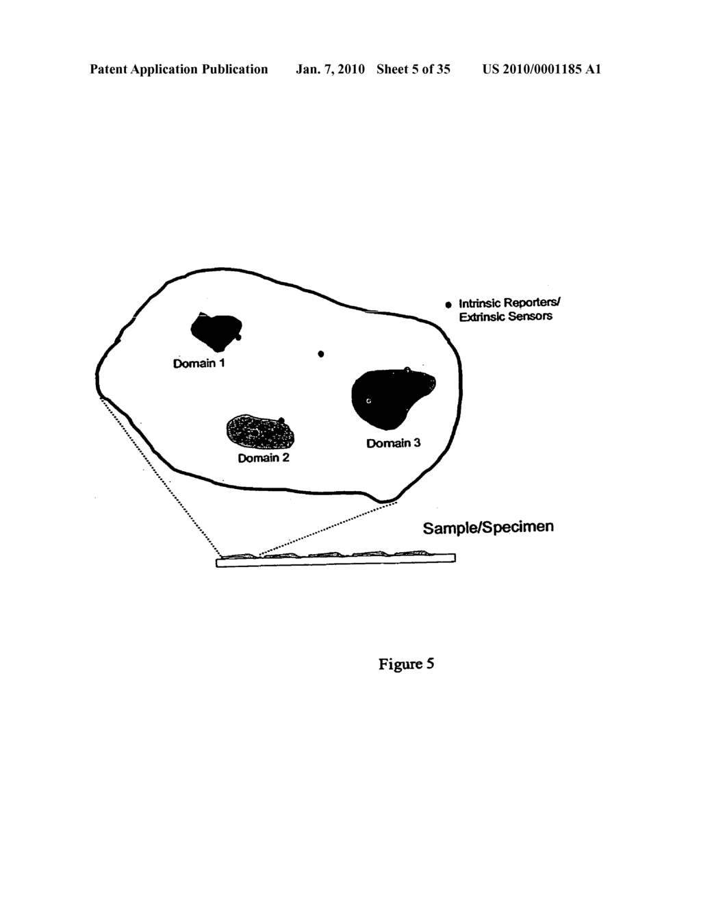 PHOTONIC SENSORS, XEROGEL-BASED SENSORS AND NANOSENSORS - diagram, schematic, and image 06