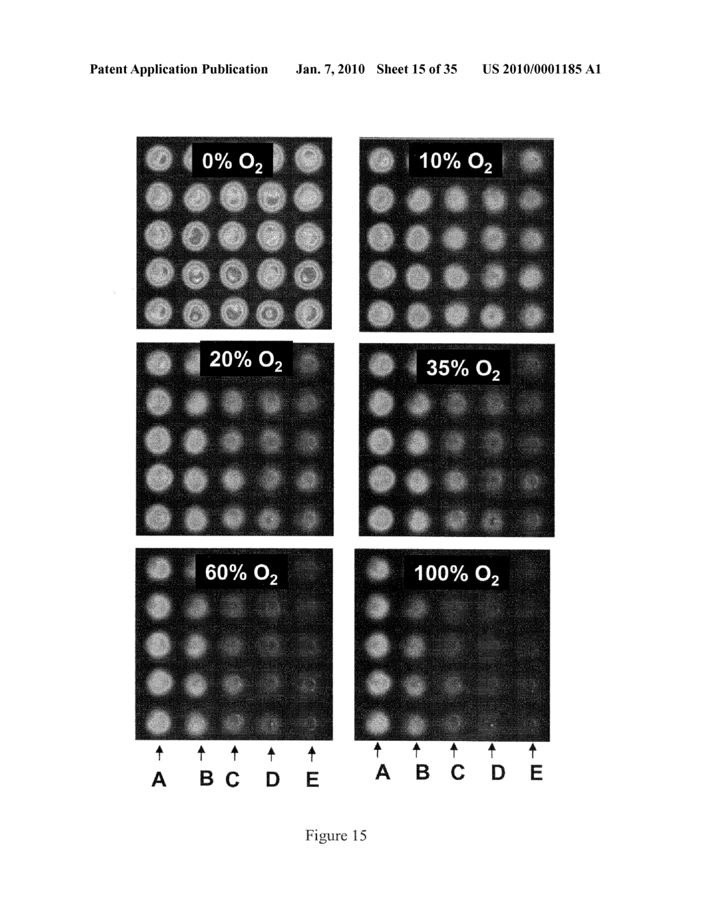 PHOTONIC SENSORS, XEROGEL-BASED SENSORS AND NANOSENSORS - diagram, schematic, and image 16