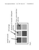 COPACKING CONFIGURATIONS FOR NONPOLAR GaN AND/OR SEMIPOLAR GaN LEDs diagram and image