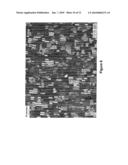 Security Device With Metameric Features Using Diffractive Pigment Flakes diagram and image