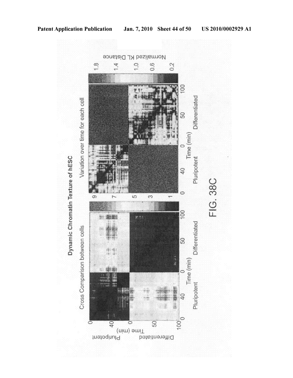 Image-based methods for measuring global nuclear patterns as epigenetic markers of cell differentiation - diagram, schematic, and image 45