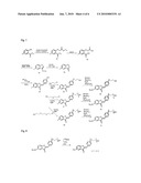 AURONE DERIVATIVE-CONTAINING COMPOSITION FOR DIAGNOSIS diagram and image