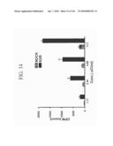 KDR AND VEGF/KDR BINDING PEPTIDES AND THEIR USE IN DIAGNOSIS AND THERAPY diagram and image