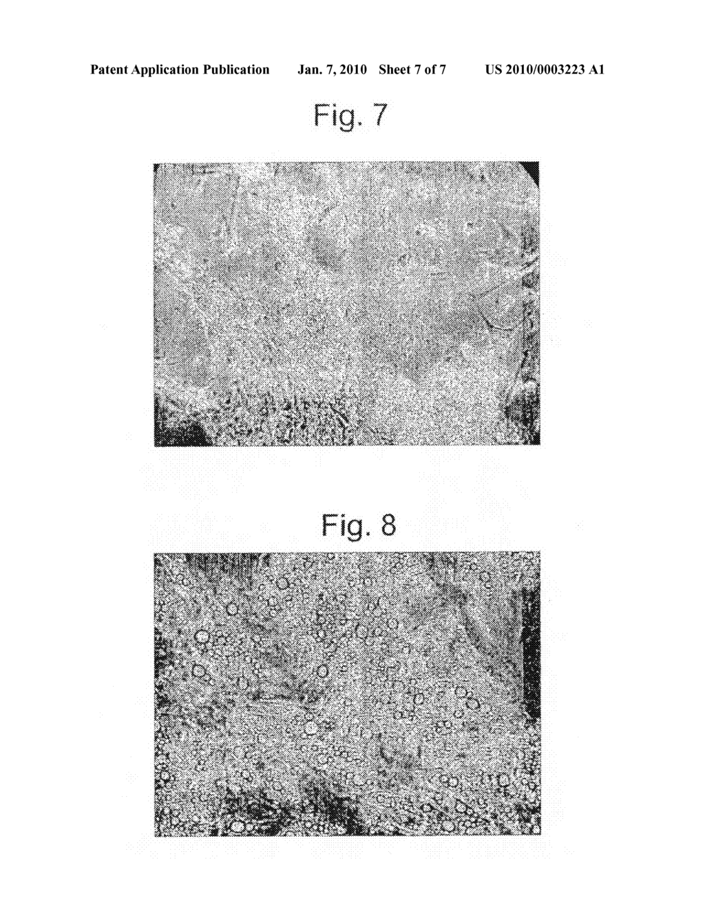 METHOD FOR THE PRODUCTION OF MULTICOMPONENT STEM CELLS, RELATIVE KITS AND USES IN THE MEDICAL FIELD - diagram, schematic, and image 08