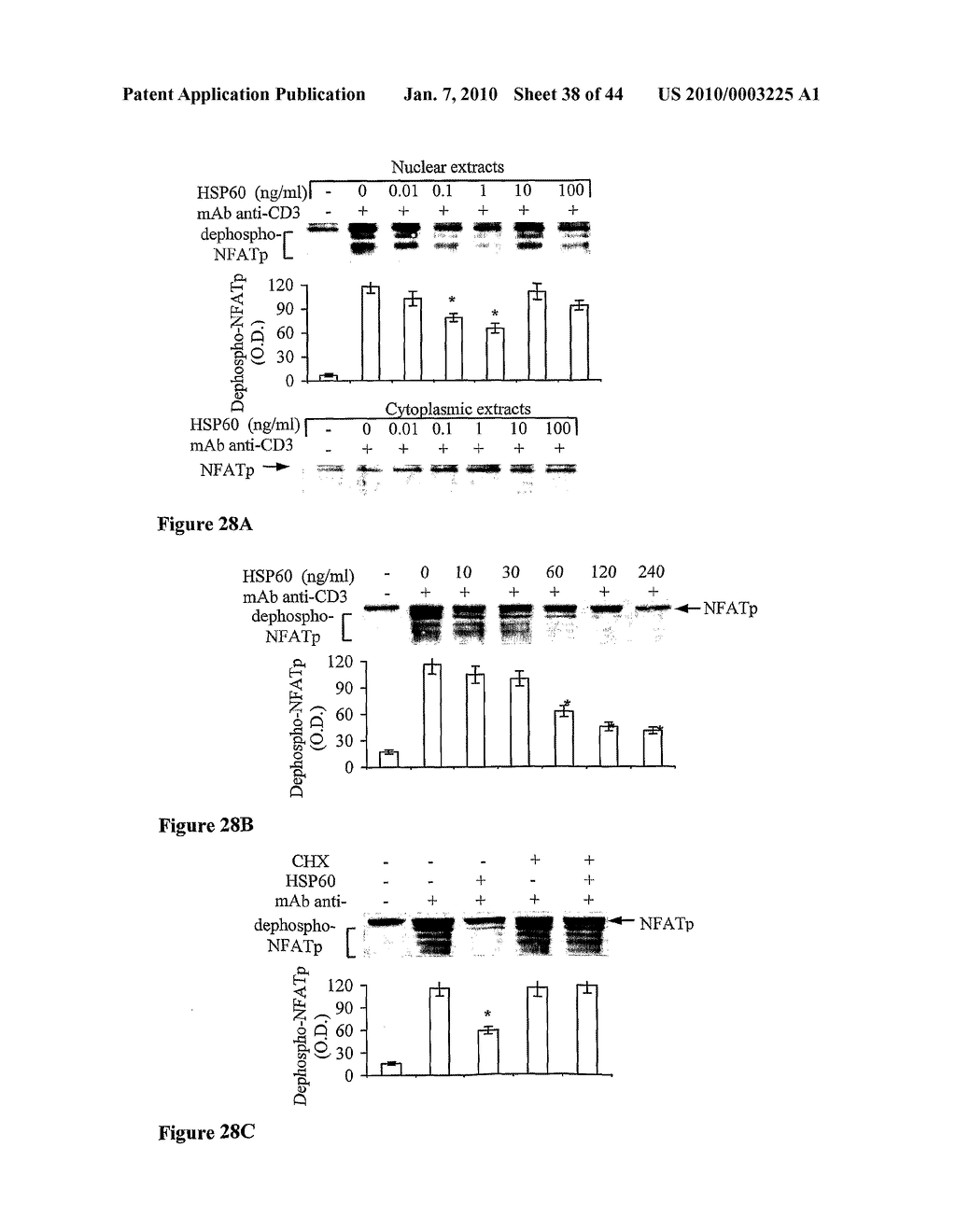 HSP60, HSP60 PEPTIDES AND T CELL VACCINES FOR IMMUNOMODULATION - diagram, schematic, and image 39