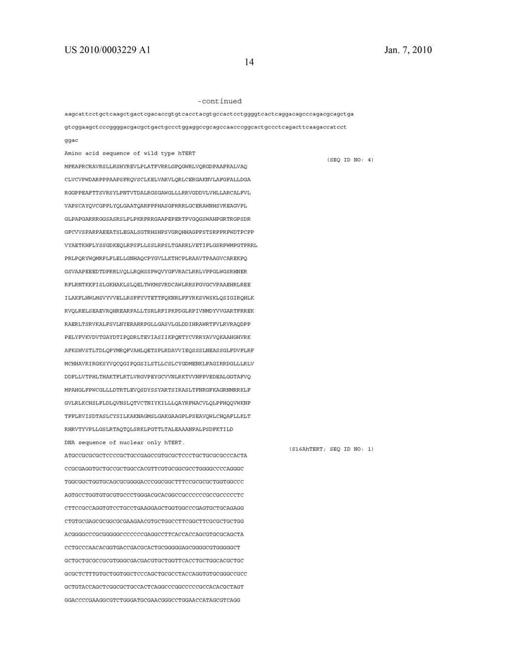 Nuclear telomerase reverse transcriptase variant - diagram, schematic, and image 17