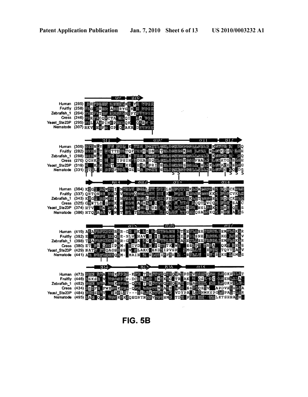 INSULIN-DEGRADING ENZYME MUTANTS AND METHODS OF USE - diagram, schematic, and image 07