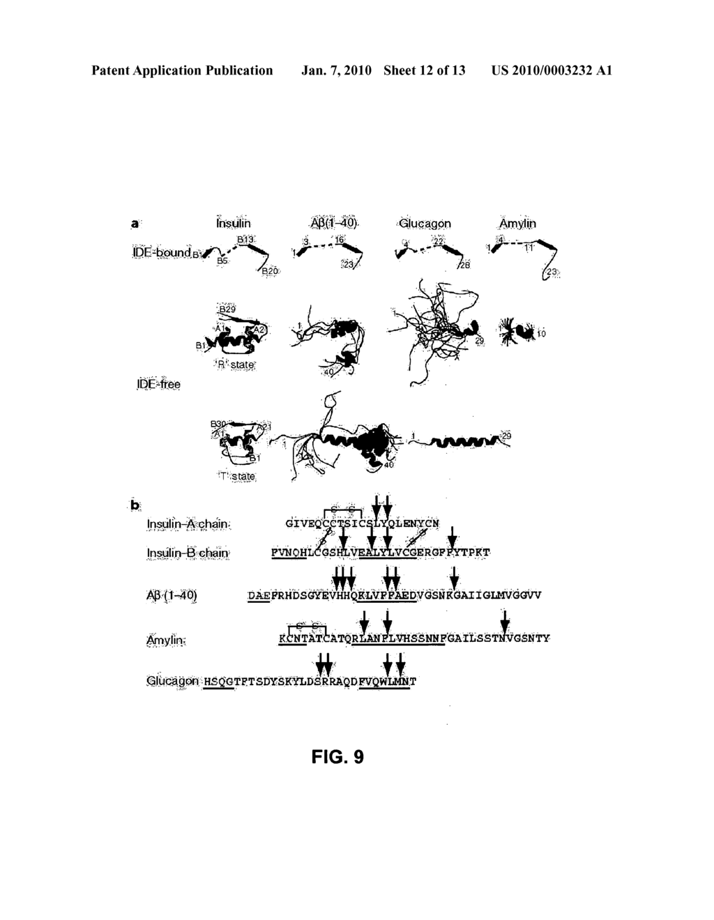 INSULIN-DEGRADING ENZYME MUTANTS AND METHODS OF USE - diagram, schematic, and image 13